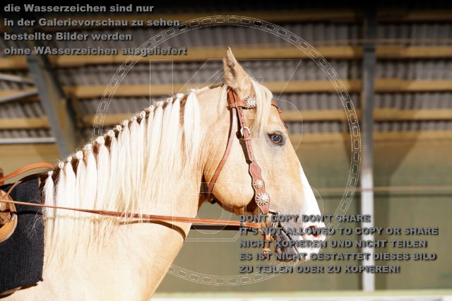 s_K3F07504.JPG